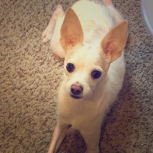 Hi 👋🏻 I’m Cali and Sara is my mom!